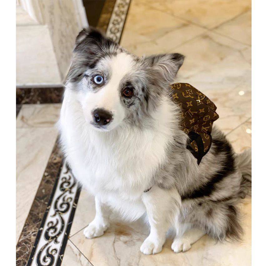 ルイヴィトン 犬のリュックサック 可愛い LV ペット用のバッグ お菓子